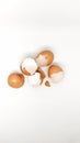 Raw Chicken Egg's Shell Royalty Free Stock Photo