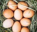 Raw chicken eggs in the basket with dry hay Royalty Free Stock Photo