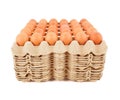 Raw chicken eggs best seller on many paper trays