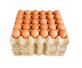 Raw chicken eggs best seller on many paper trays