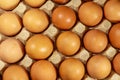 Raw chicken eggs in cardboard egg box close-up Royalty Free Stock Photo