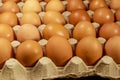 Raw chicken eggs in cardboard egg box close-up Royalty Free Stock Photo