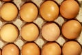 Raw chicken eggs in cardboard egg box close-up Royalty Free Stock Photo