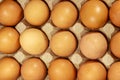 Raw chicken eggs in cardboard egg box close-up Royalty Free Stock Photo