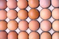 Raw chicken eggs in egg box, top view. Royalty Free Stock Photo