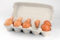 Chicken eggs in egg box Royalty Free Stock Photo