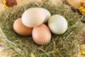 Raw chicken eggs in a nest Royalty Free Stock Photo