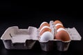 Raw chicken eggs in a package on a black background. Copy space. Space for text Royalty Free Stock Photo