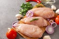 raw chicken fillet with herbs onions and tomatoes on a cutting board poultry meat