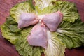 Raw chicken fillet pieces Royalty Free Stock Photo