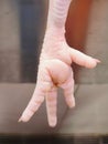Raw Chicken Foot with Pale Skin and Three Extended Toes on Tiled Kitchen Surface Royalty Free Stock Photo
