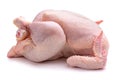 Raw chicken. Isolate on white background Royalty Free Stock Photo