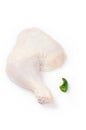 Raw chicken leg Royalty Free Stock Photo