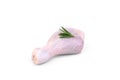 Raw chicken leg with rosemary isolated on white background. Royalty Free Stock Photo