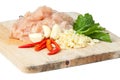 Raw chicken meat Royalty Free Stock Photo
