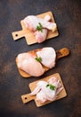 Raw chicken meat fillet, thigh, wings and legs Royalty Free Stock Photo