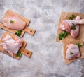 Raw chicken meat fillet, thigh, wings and legs Royalty Free Stock Photo