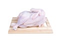 Raw chicken relaxing on a board