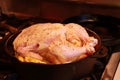 Raw chicken, seasoned and placed on top of vegetables and ready to be roasted in cast iron skillet. Royalty Free Stock Photo