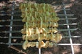 Raw chicken shish kebab on the grill in the summer garden. BBQ party. Royalty Free Stock Photo