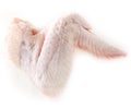 Raw chicken wing Royalty Free Stock Photo