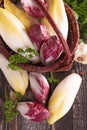 Raw chicory red and yellow Royalty Free Stock Photo