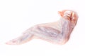 Raw chiken meat on a light background Royalty Free Stock Photo