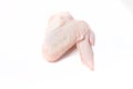 Raw chiken meat on a light background Royalty Free Stock Photo