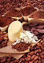 Raw chocolate Royalty Free Stock Photo