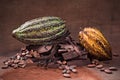 Raw Chocolate Royalty Free Stock Photo