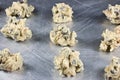 Raw chocolate chip cookie dough Royalty Free Stock Photo