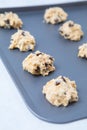 Raw Chocolate Chip Cookie Dough Royalty Free Stock Photo