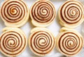 Raw cinnamon buns