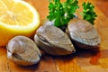 Raw Clams