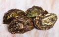 Raw closed Pacific oysters