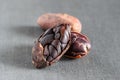 Uncooked formaster cocoa beans