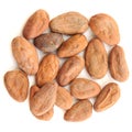 Raw cocoa beans in round shape isolated Royalty Free Stock Photo