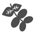 Raw cocoa pod and seed solid icon. Plant of coffee, leaves and grains symbol, glyph style pictogram on white background