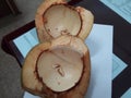 Raw coconut katting without water