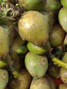 Raw Coconuts business and bunches background Royalty Free Stock Photo