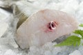 Raw cod fish fillets Royalty Free Stock Photo