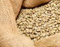 Raw coffee beans Royalty Free Stock Photo