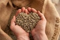 Raw coffee beans holding in hands - heart - coffeelover