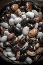 Colorful Beans on Dark Wooden Background