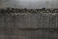 Raw concrete wall texture. Royalty Free Stock Photo