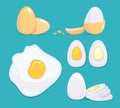 Raw and cooked eggs in different conditions. Vector cartoon pictures