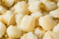 Raw Cooked White Mexican Hominy Corn Royalty Free Stock Photo
