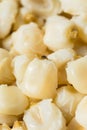Raw Cooked White Mexican Hominy Corn Royalty Free Stock Photo