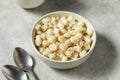 Raw Cooked White Mexican Hominy Corn Royalty Free Stock Photo