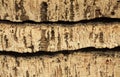 Raw cork planks Royalty Free Stock Photo